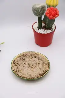 Spam