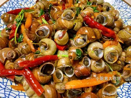 The snail