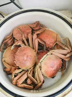 Crabs evaporating rice fields