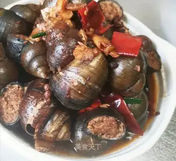 Snails