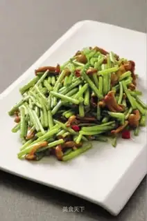 The fairy herb white mushrooms