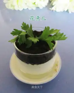Yogurt Olio