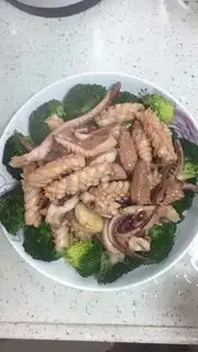 Squid