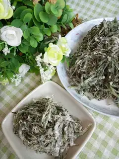 Steam broom