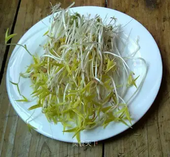 Green bean sprouts