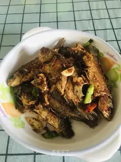 Squidfish