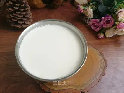 Homemade yogurt