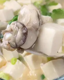 Oyster tofu