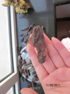 beef jerky