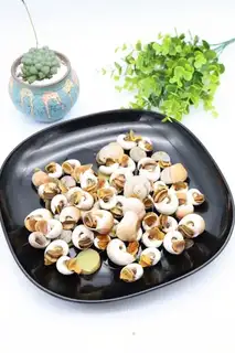Snails