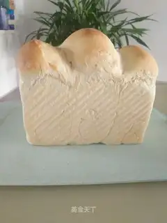 Light cream toast