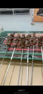 Simple lamb string