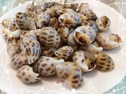 The white snail