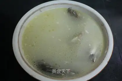 Vacuated gold drumfish