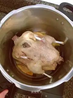 Ginger Duck