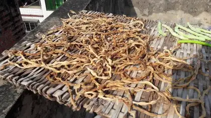 Homemade bean horn dry