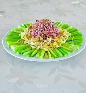 Double sprouts of Dutch cucumber