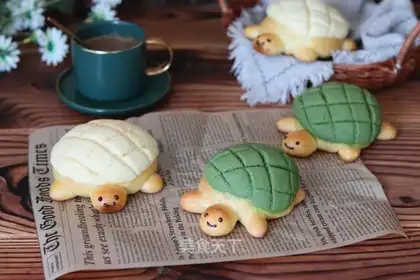 A turtle pineapple bag