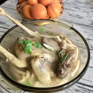 White mushroom stew pigeon
