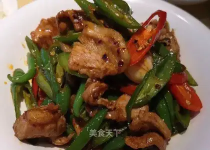 Fried meat