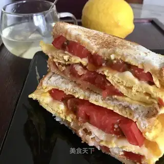 Net red sandwich