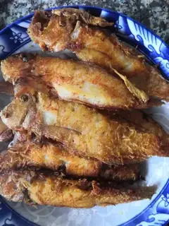 Fried horsefish
