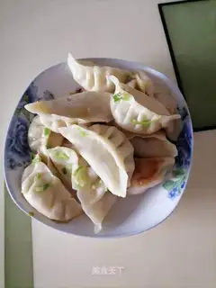 Fried dumplings