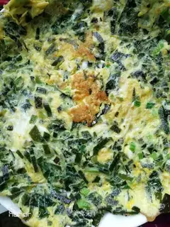 Sea omelet