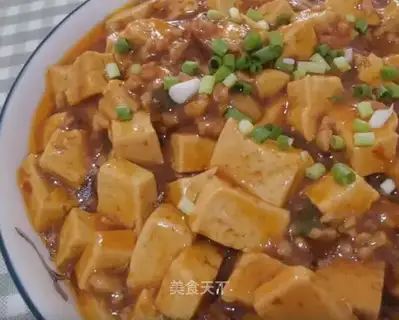 Meat tofu