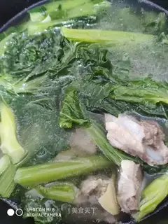 Spring cabbage
