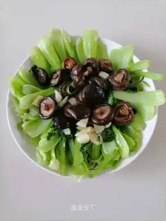 Mushroom greens