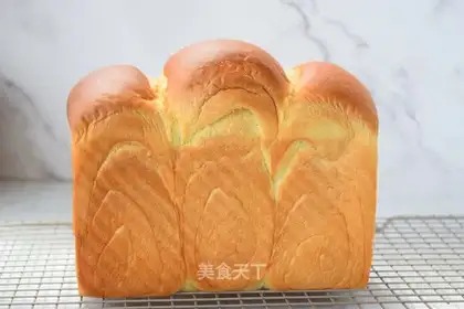 One fermented toast