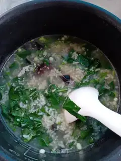 Sea gin and egg congee
