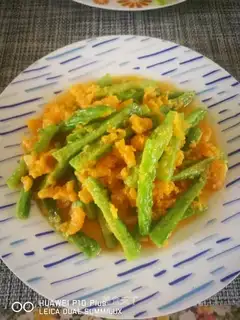 Gold sandmelon