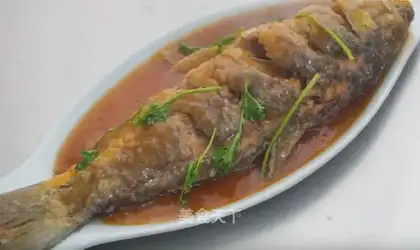 Carp