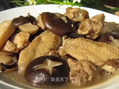 chicken stewed mushrooms