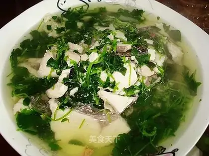 Yangcao fish fillet soup