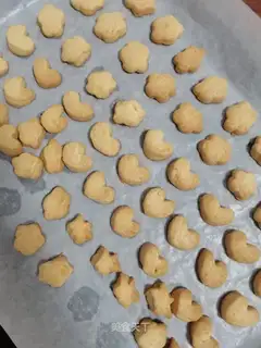 White chocolate cookie