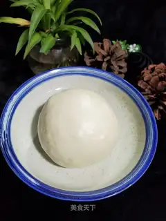 White-faced buns