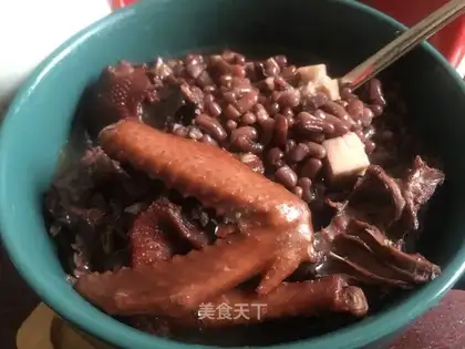 Red soy pigeon