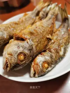 It's the best fish in the world