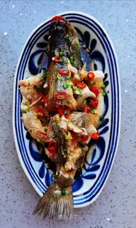 Vacuate herring