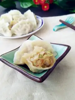 Pork cabbage dumplings