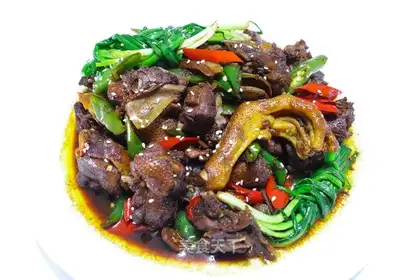 Zhijiang Duck