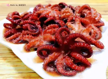 Red octopus