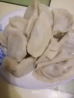The meat dumplings