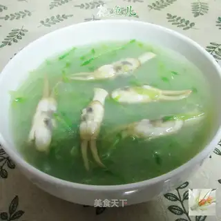 The radish radish