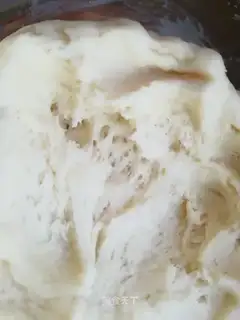 fermented pasta adventure