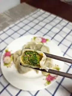Fresh meat dumplings