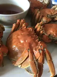 The violet crab
